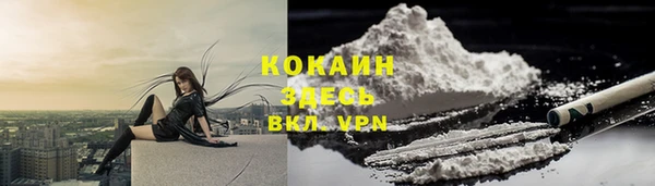 мяу мяу мука Кинешма