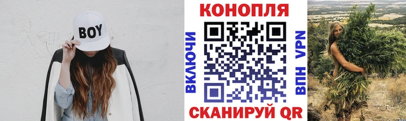 Купить закладки  Краснообск  Канабис семена 